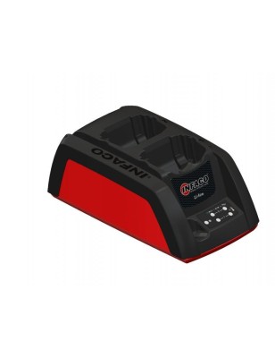 CHARGEUR F3015