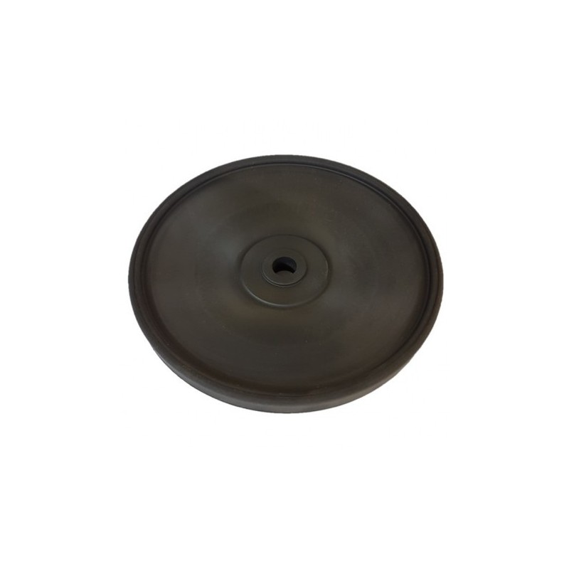 MEMBRANE POMPE PM260/AR1254