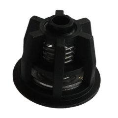 CLAPET POMPE EQ PM255 5567511 TECNOMA