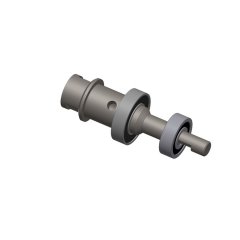 ARBRE PORTE MASSELOTTE