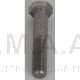 VIS H M20X100 INOX 54293 TECNOMA