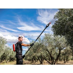 Vibreur à olives INFACO Electr'oliv 12V - perche fixe