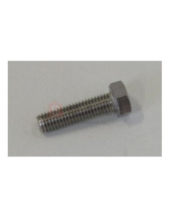 VIS INOX 8X30 31822 TECNOMA