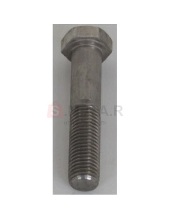 VIS H M20X100 INOX 54293 TECNOMA