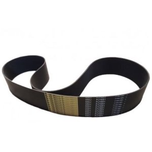 COURROIE LONG PJ1650